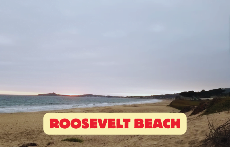 Roosevelt Beach