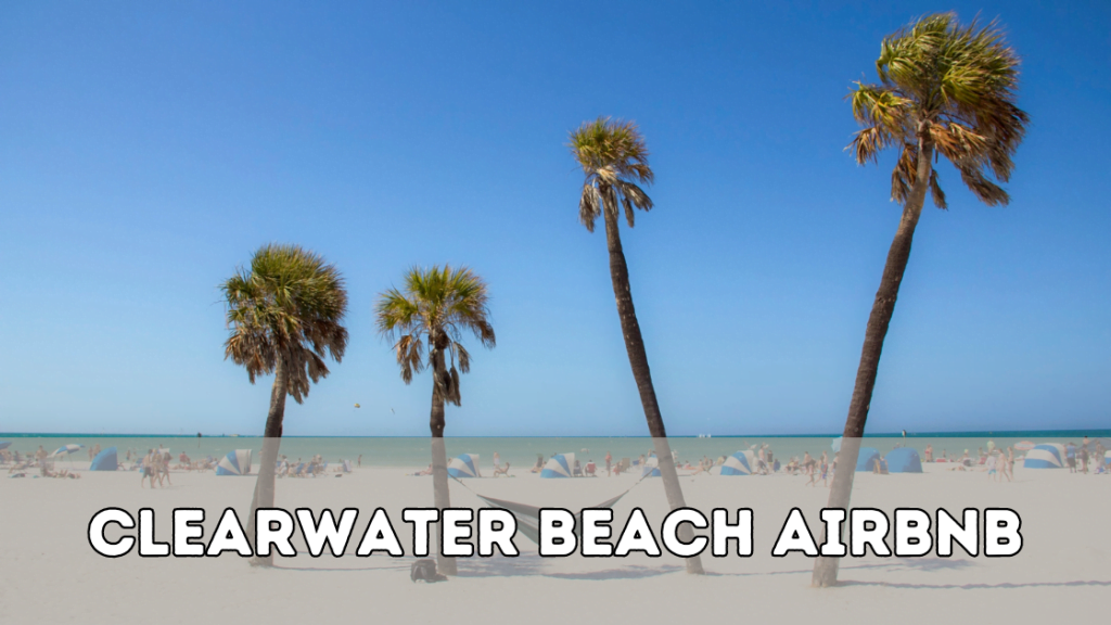Clearwater Beach Airbnb