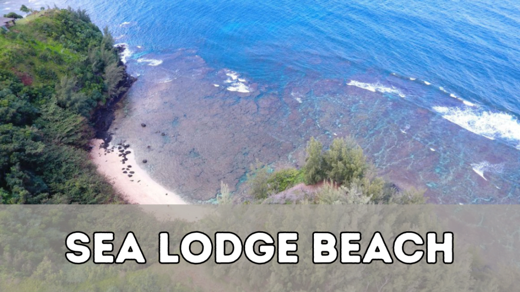 Sea Lodge Beach