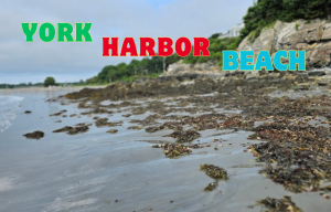 York Harbor Beach