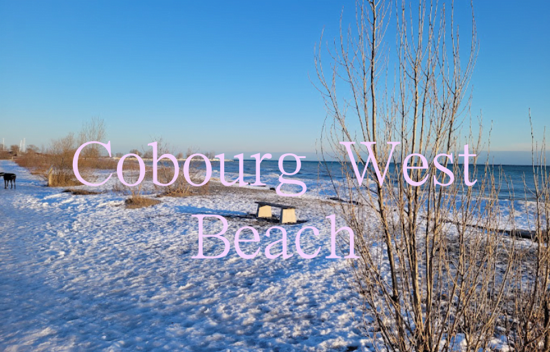 Cobourg West Beach