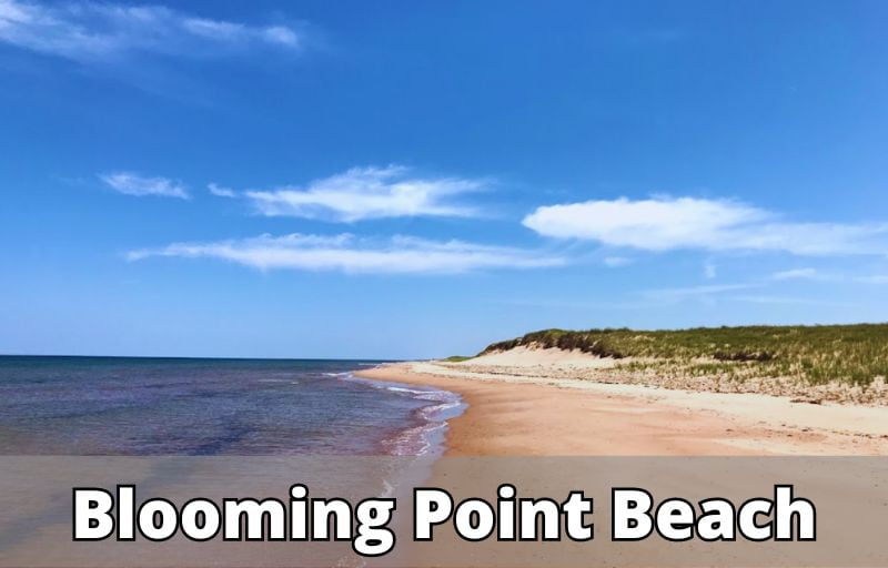 Blooming Point Beach